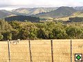 thn_NZ leden-unor 2006 090.jpg